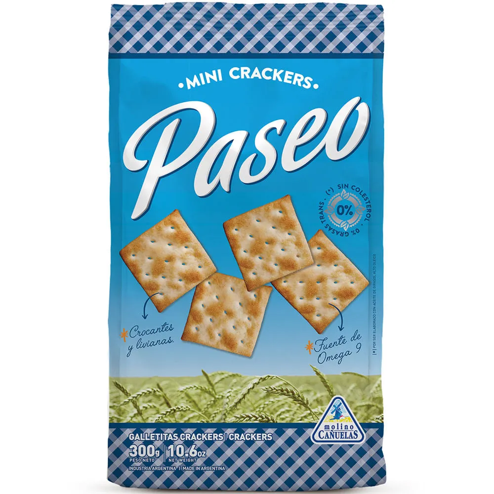 GALLETAS SALVADO PASEO 300 g